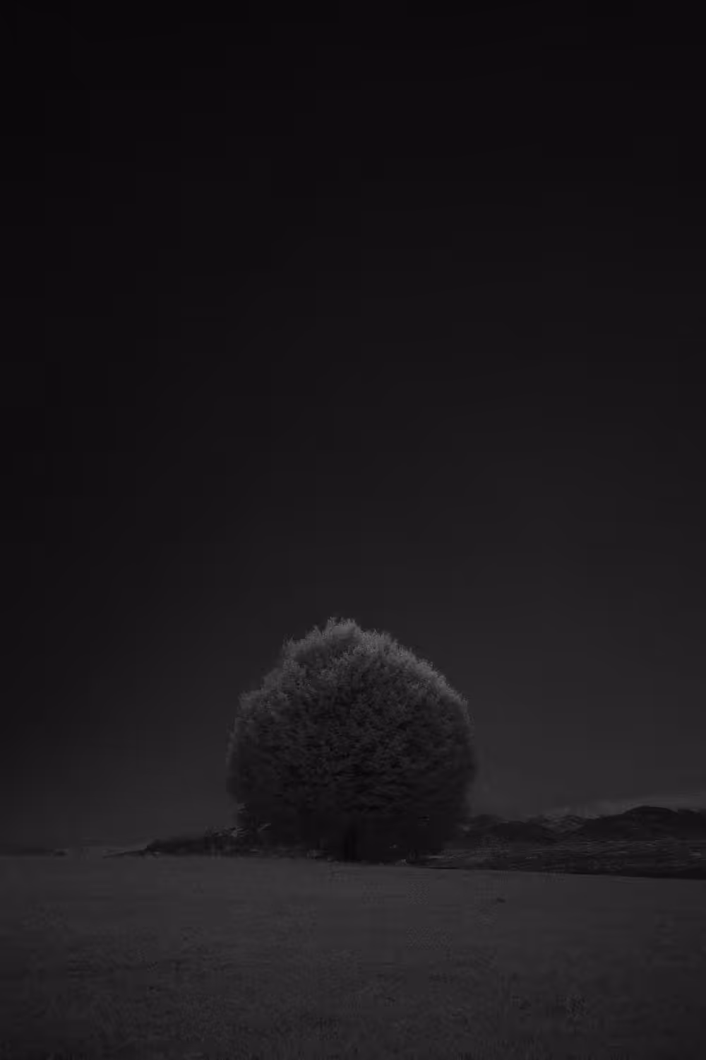 Light a shadow