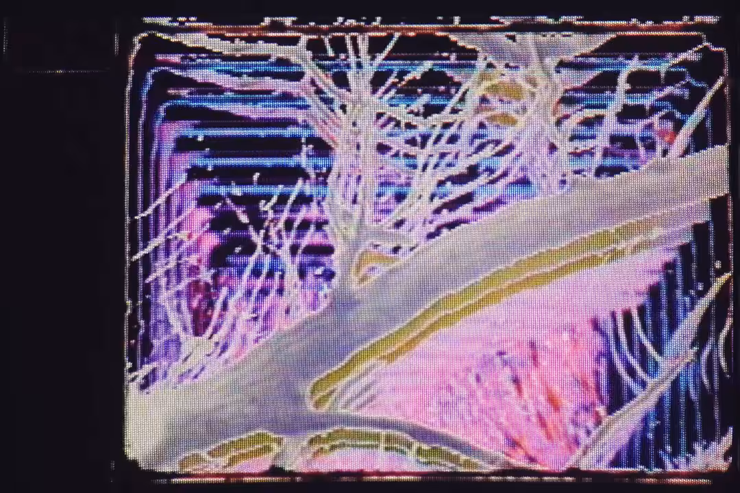16/7207 4