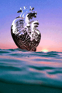 Heartship