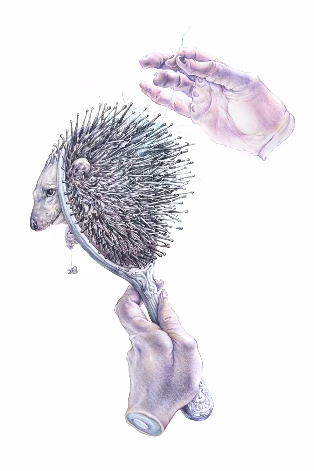 Hedgehog brush