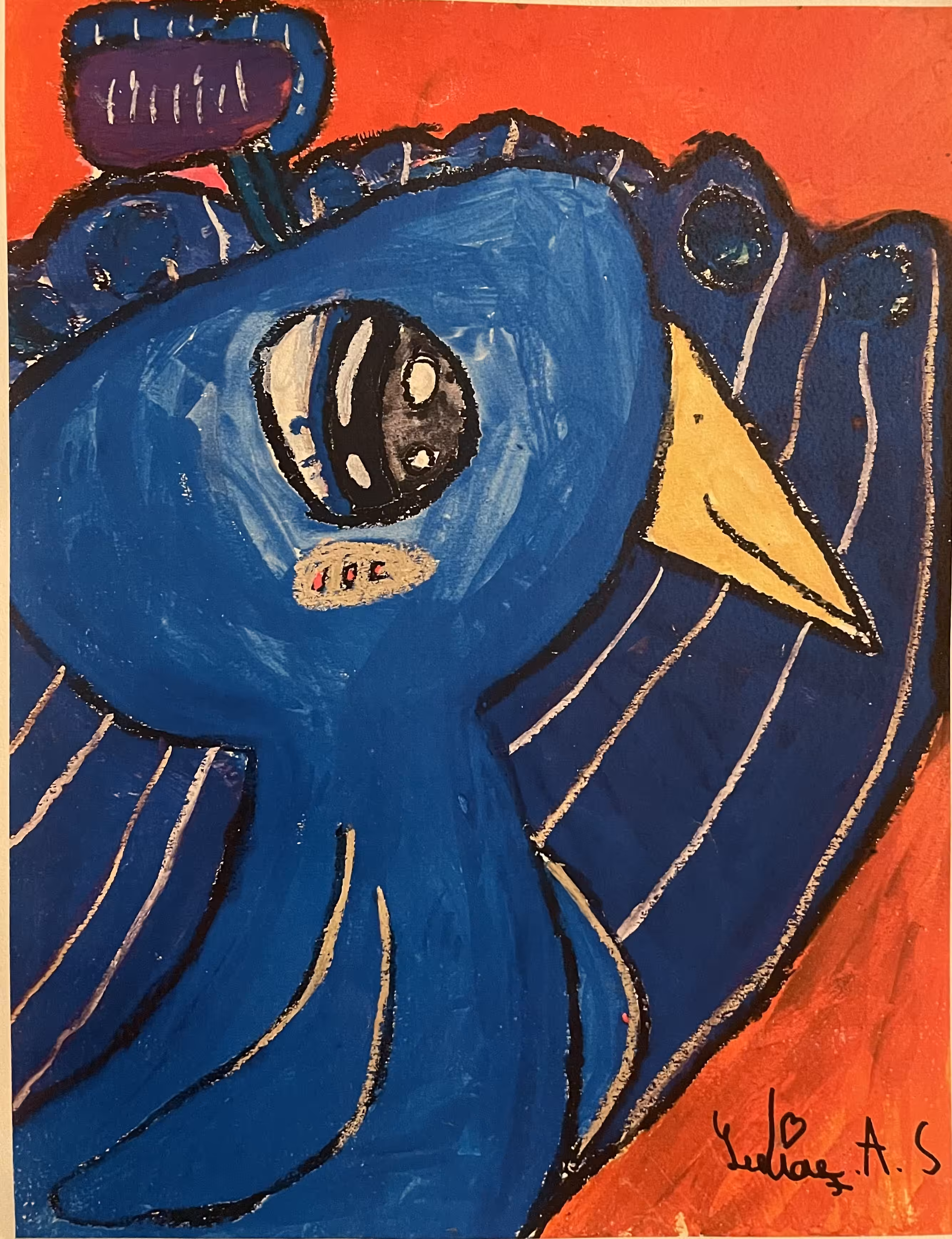 PQ The Peacock