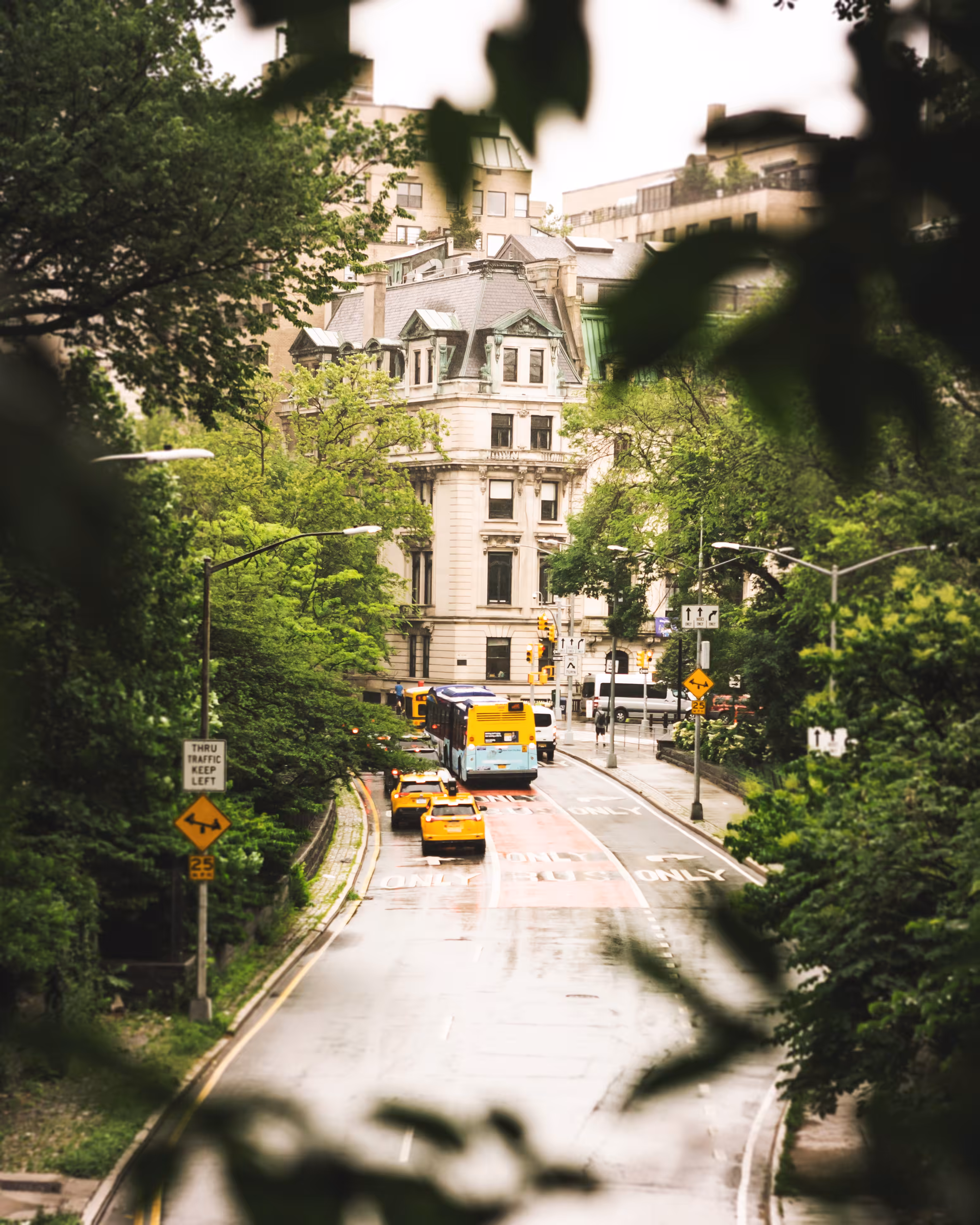 Hint of Yellow #3 - Central Park