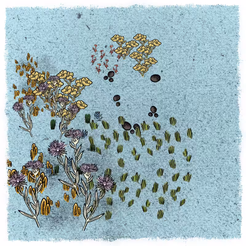 Gardens  #199