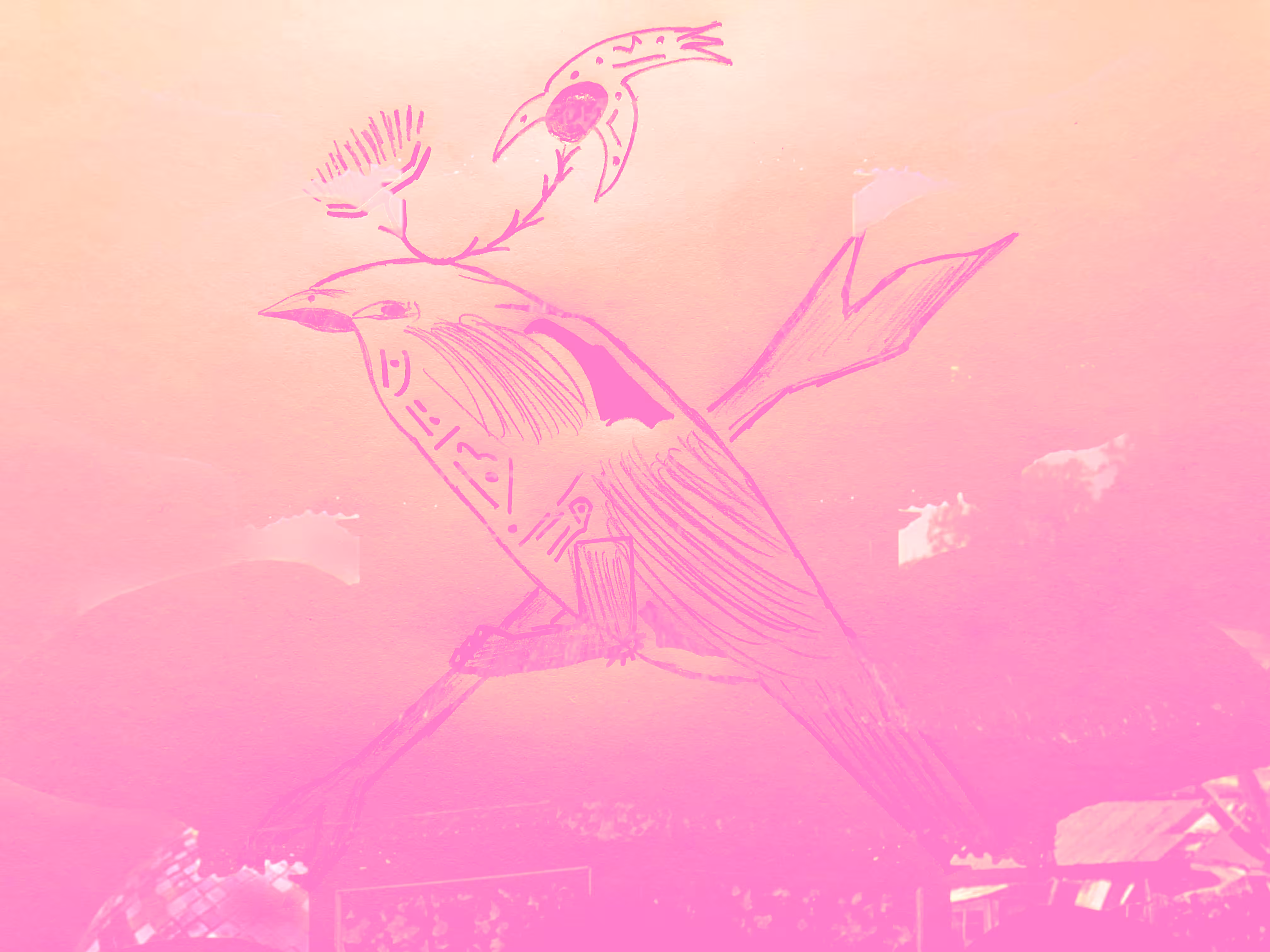 JALAK B A L I