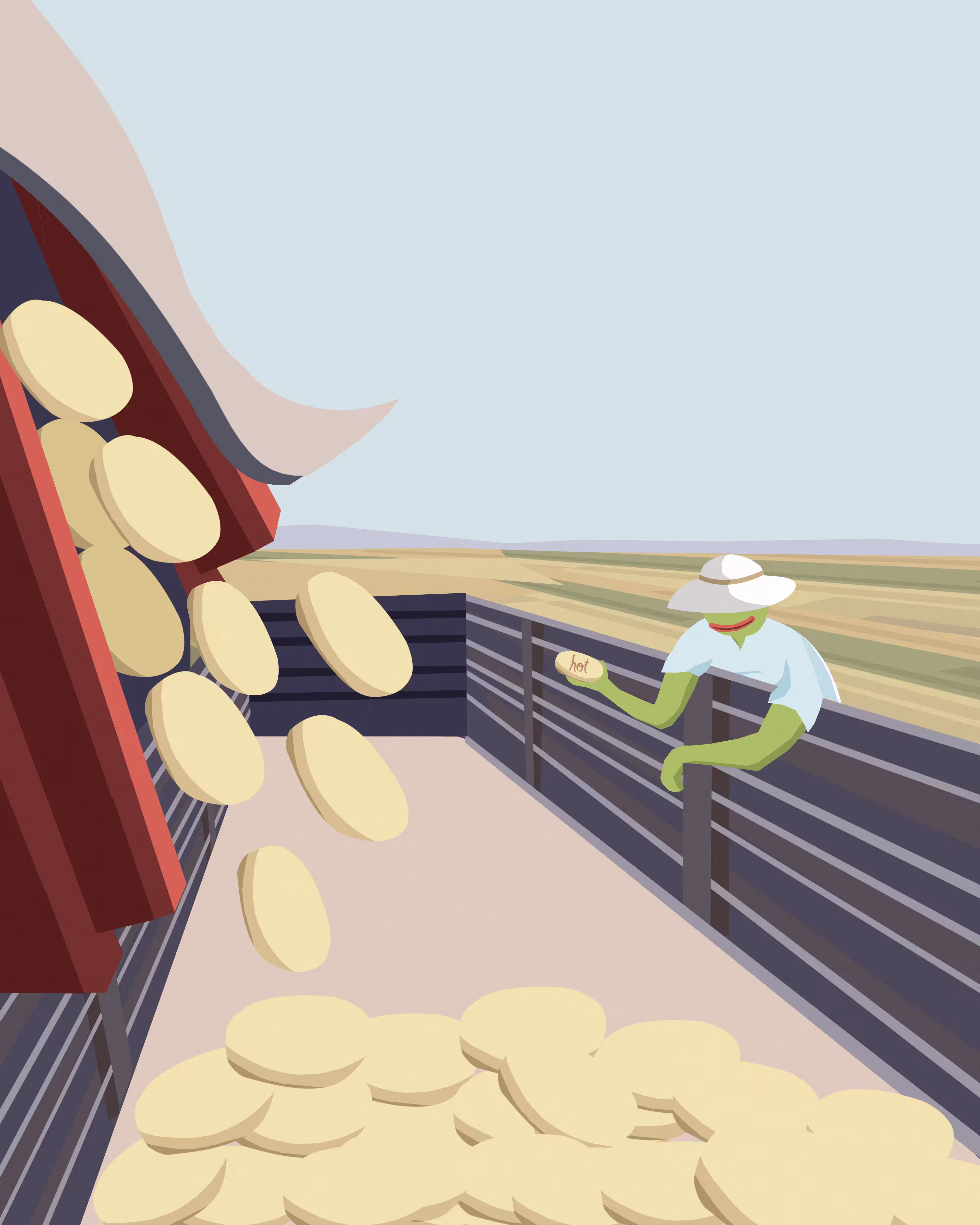 Potato harvest on a Hot day