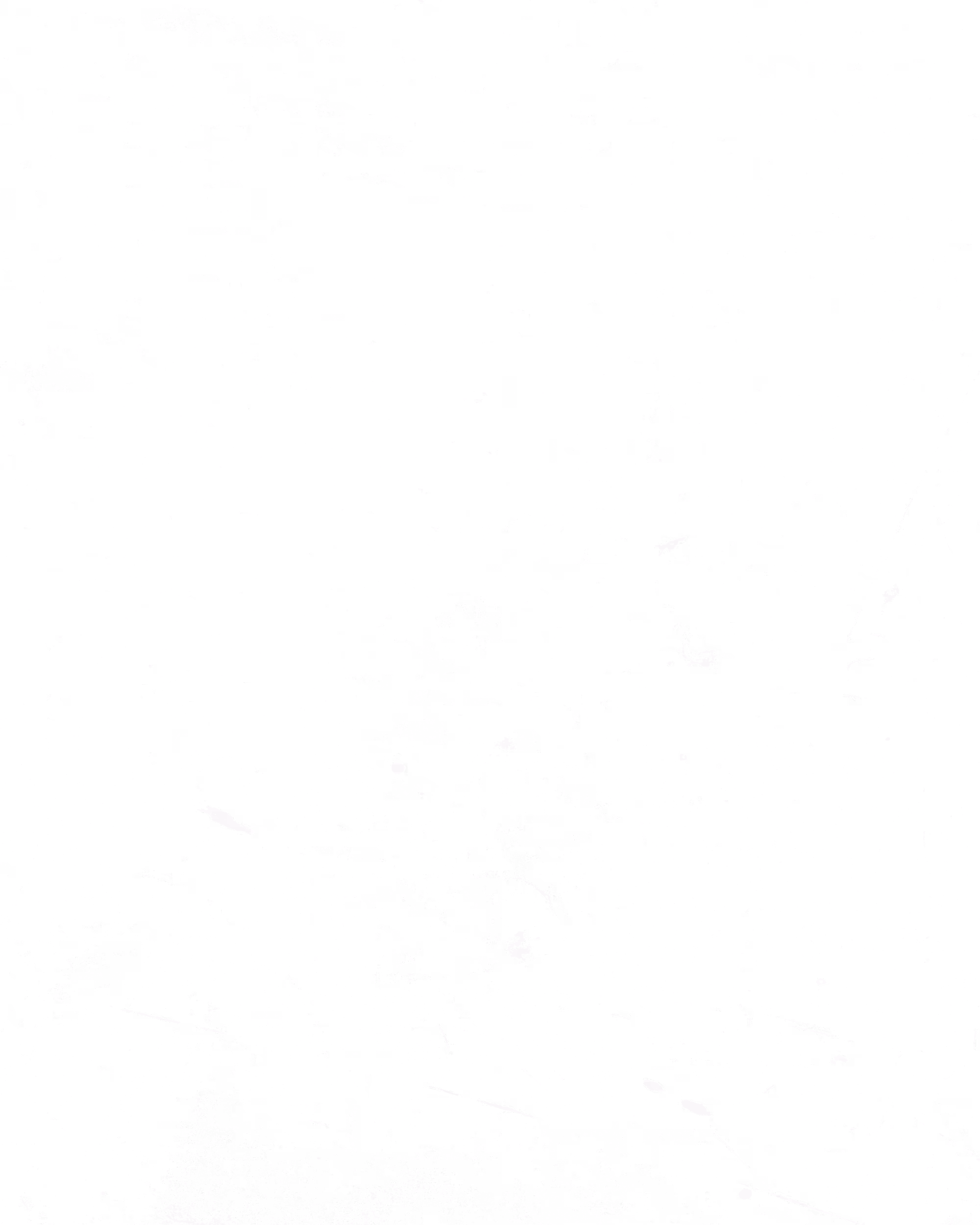 SLIMESHOP - Subtle Dust - #3388