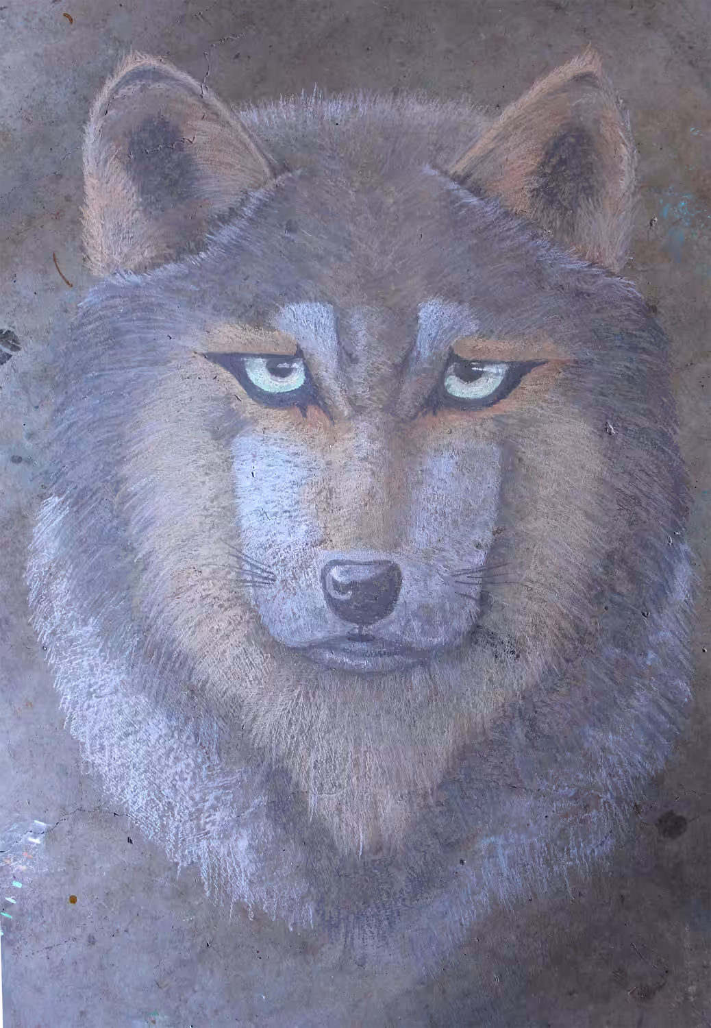 Chalk Series - Wolves of Light and Dark