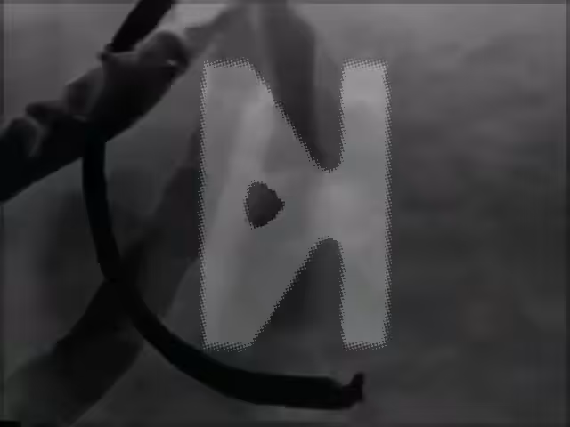 ZEN