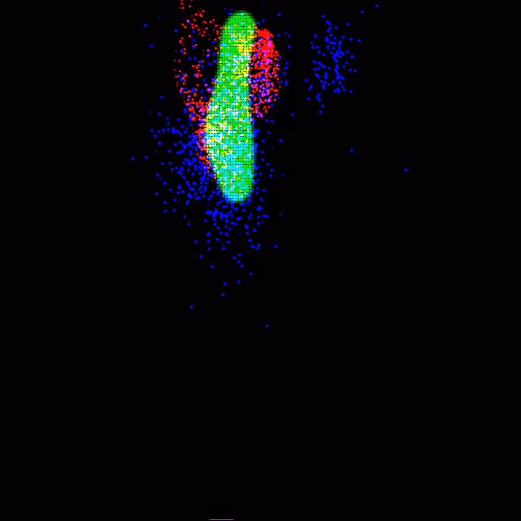 Study #2: The kiss.