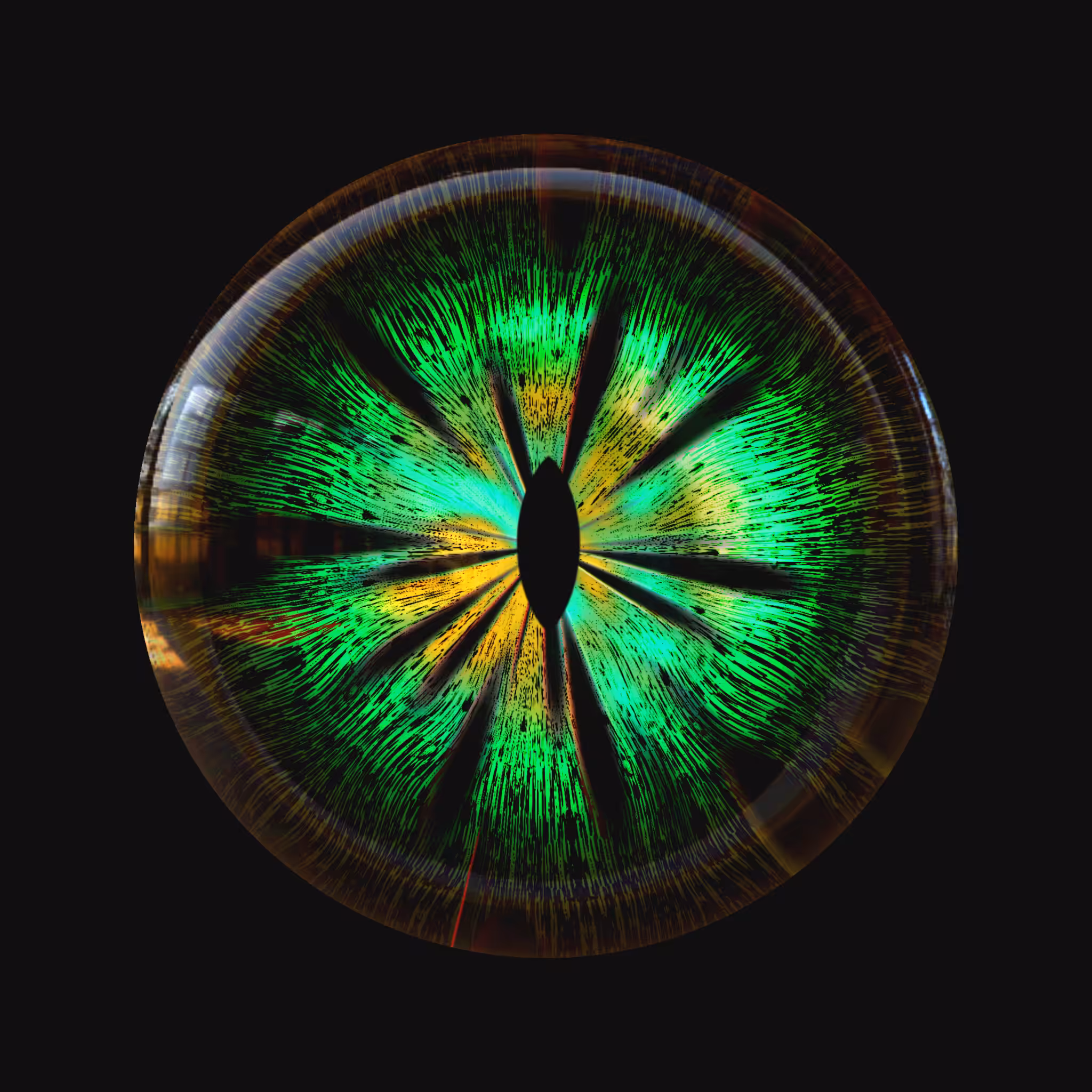 EYES #212