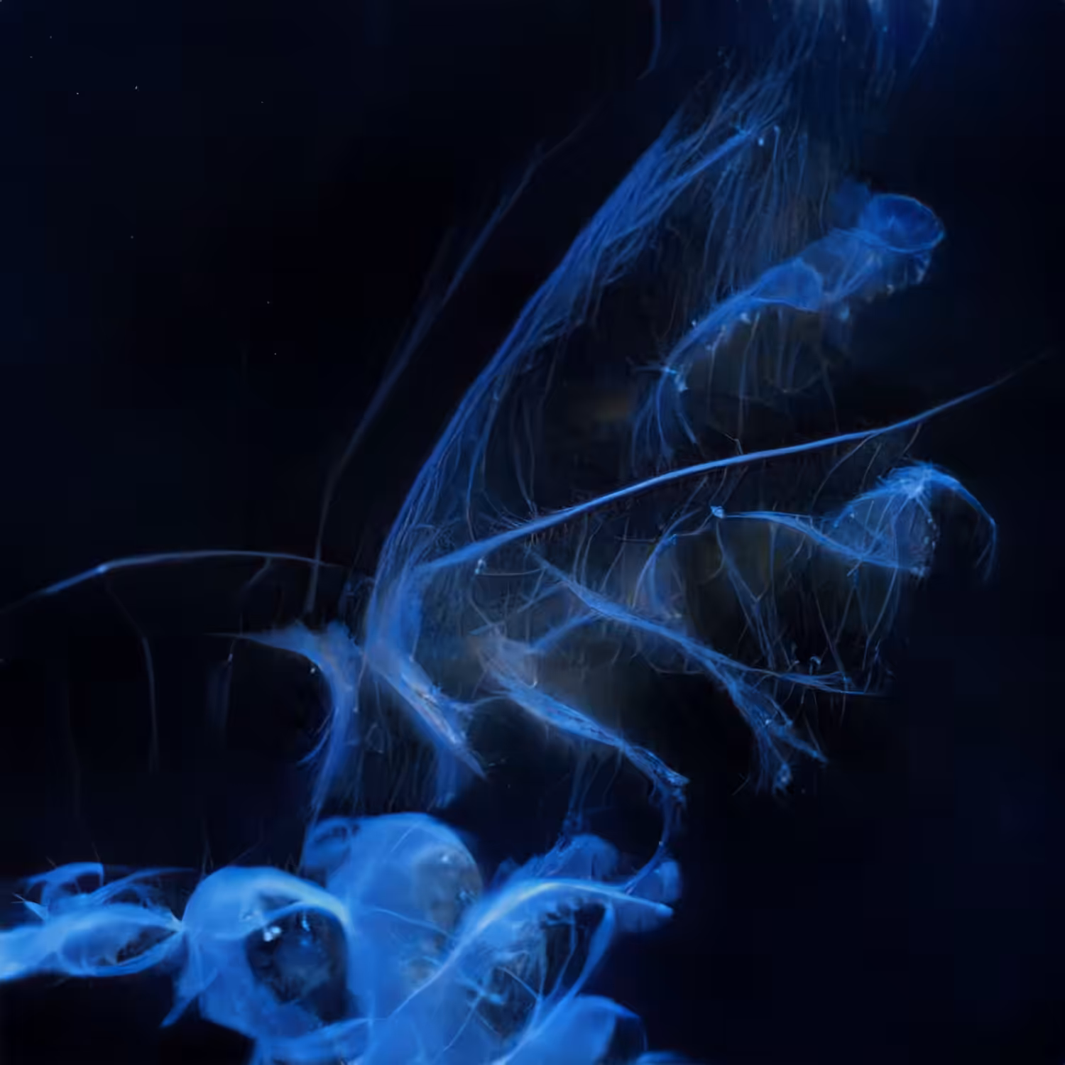 Chimerical Stories #94