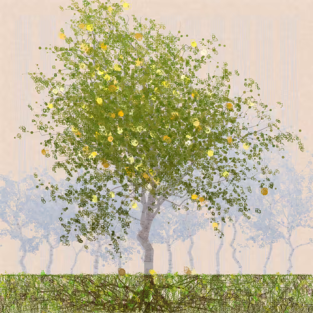 Orchard #253