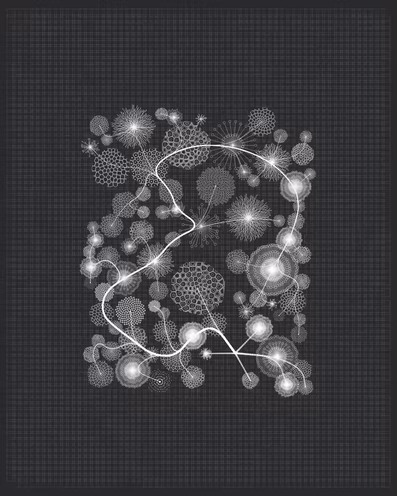 Florilegium #71