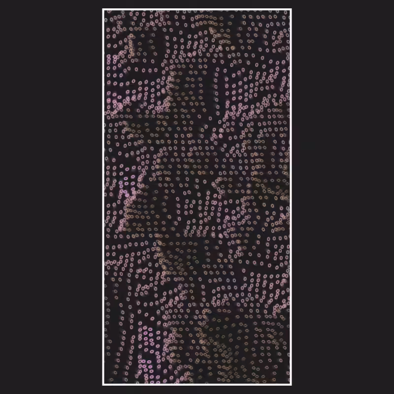"String" Theory #35
