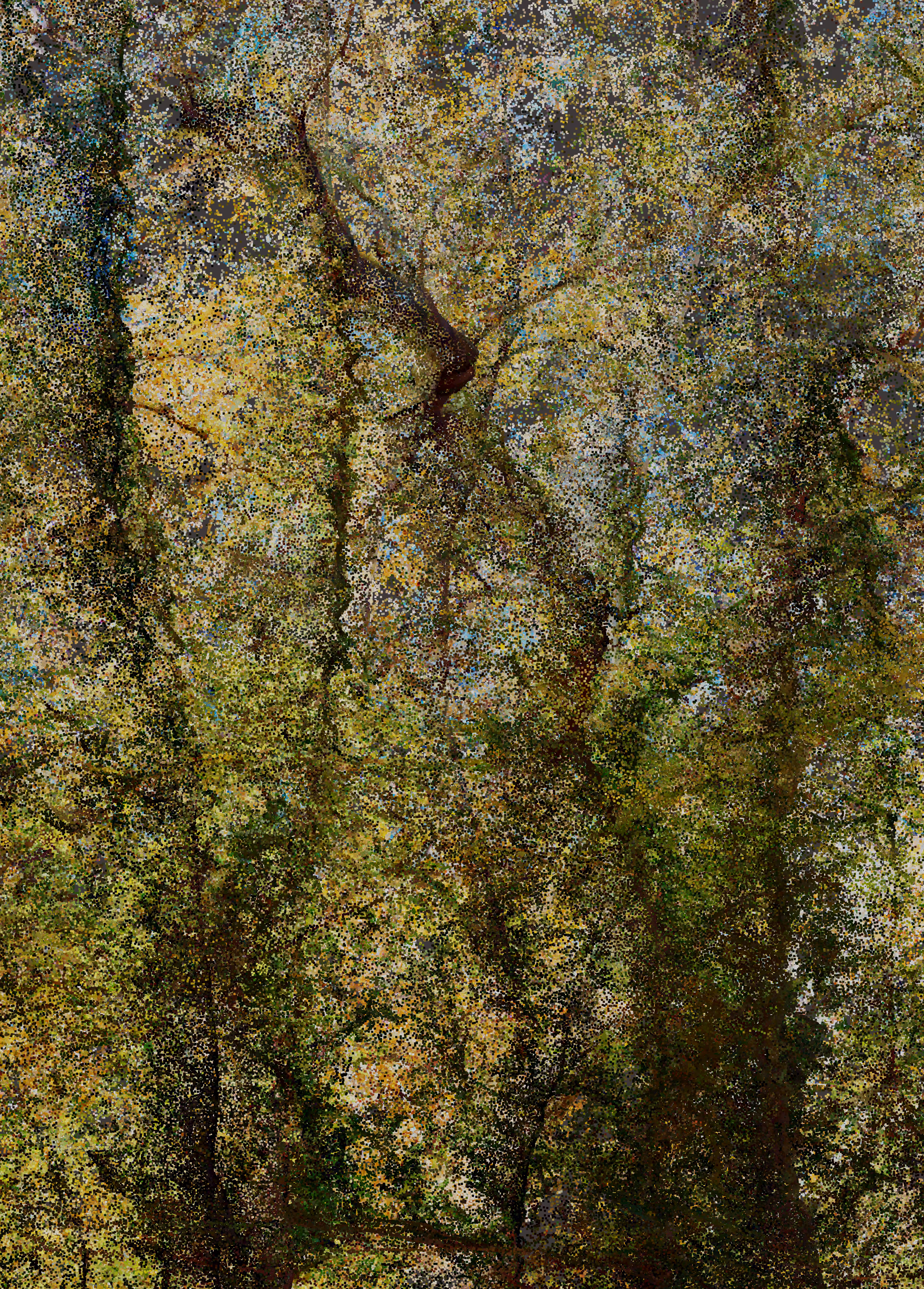 Provence G_01-4