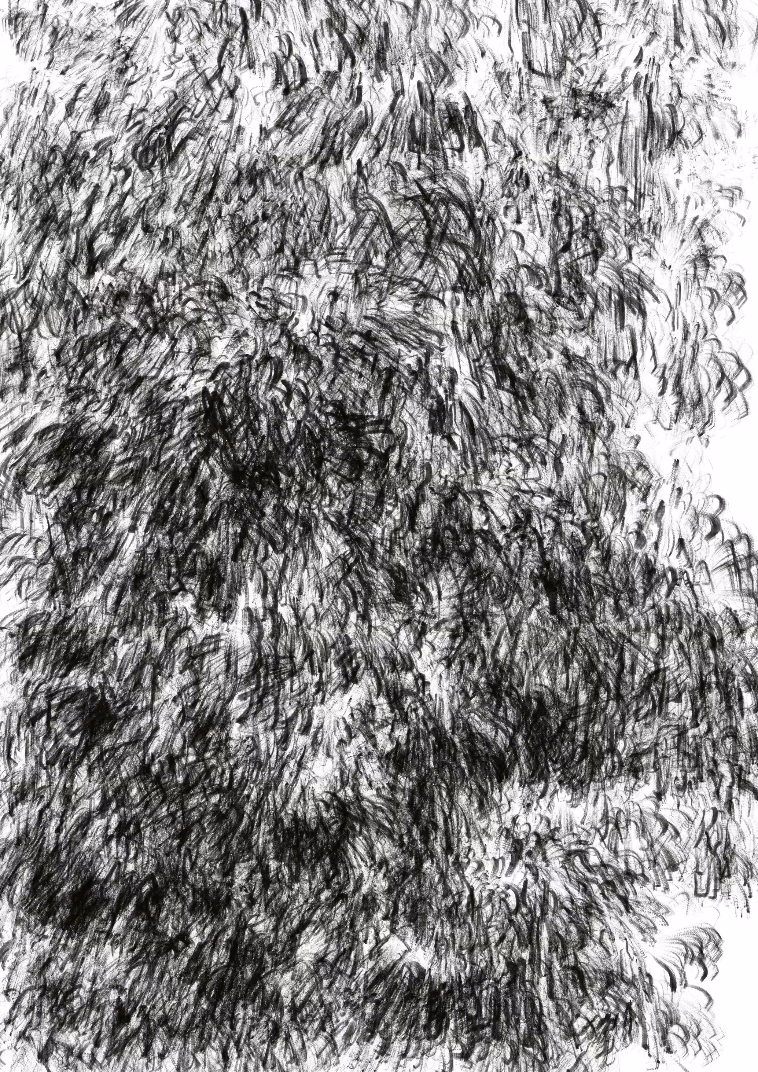 The tree in my life