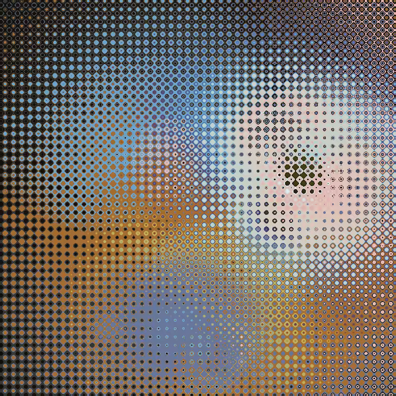 Focus #55