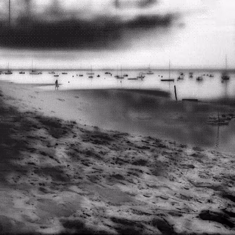 Scrambled Memories #126