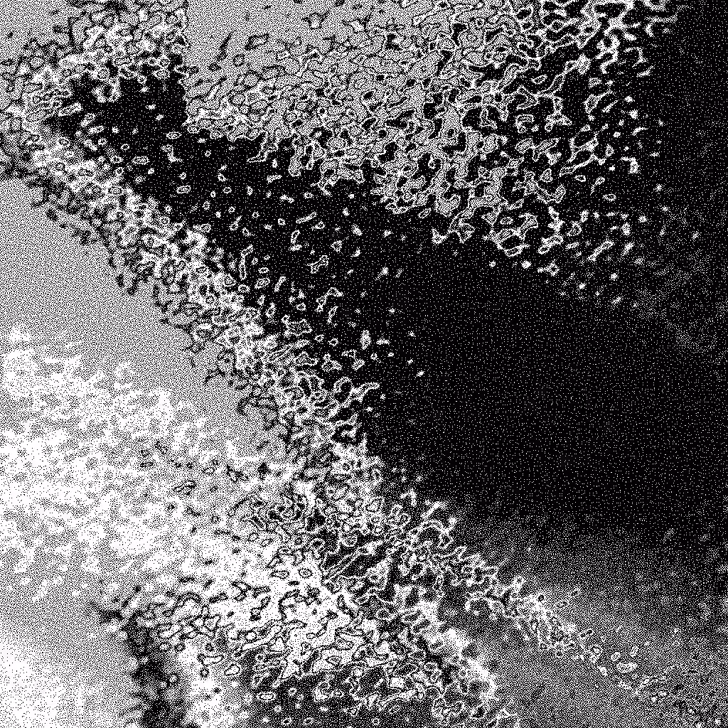 Noise #355 