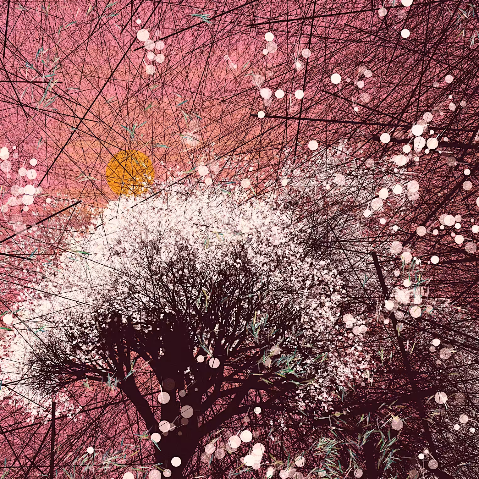 conversation with the wind