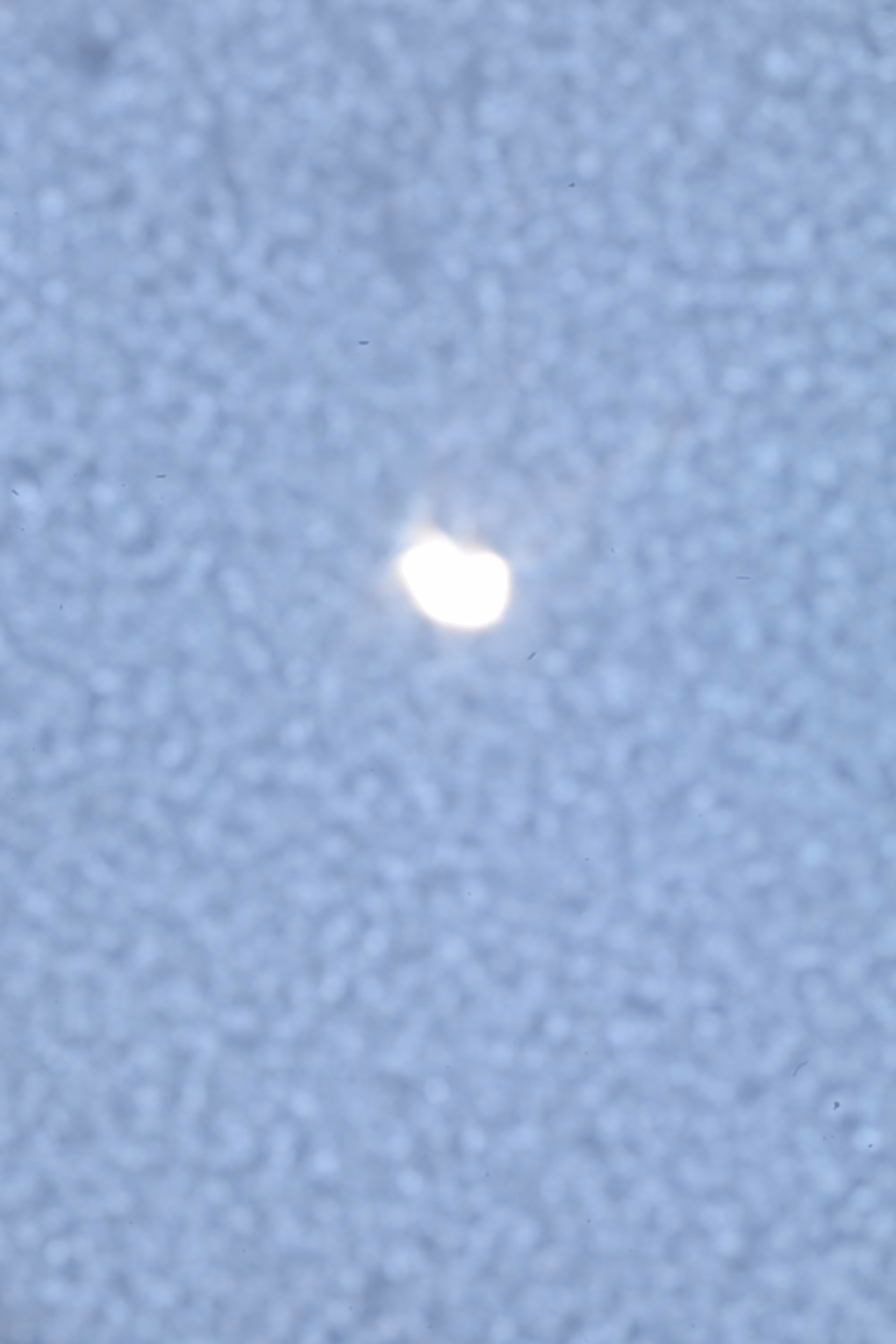 The sun and signals