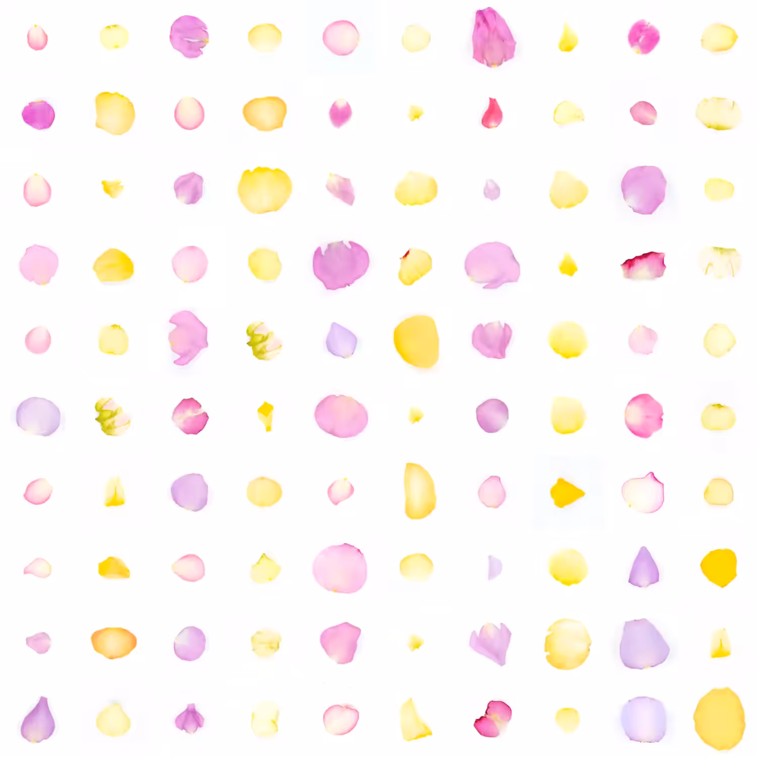 Infinite Petals 10x10#20008