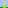 Taraxacum 