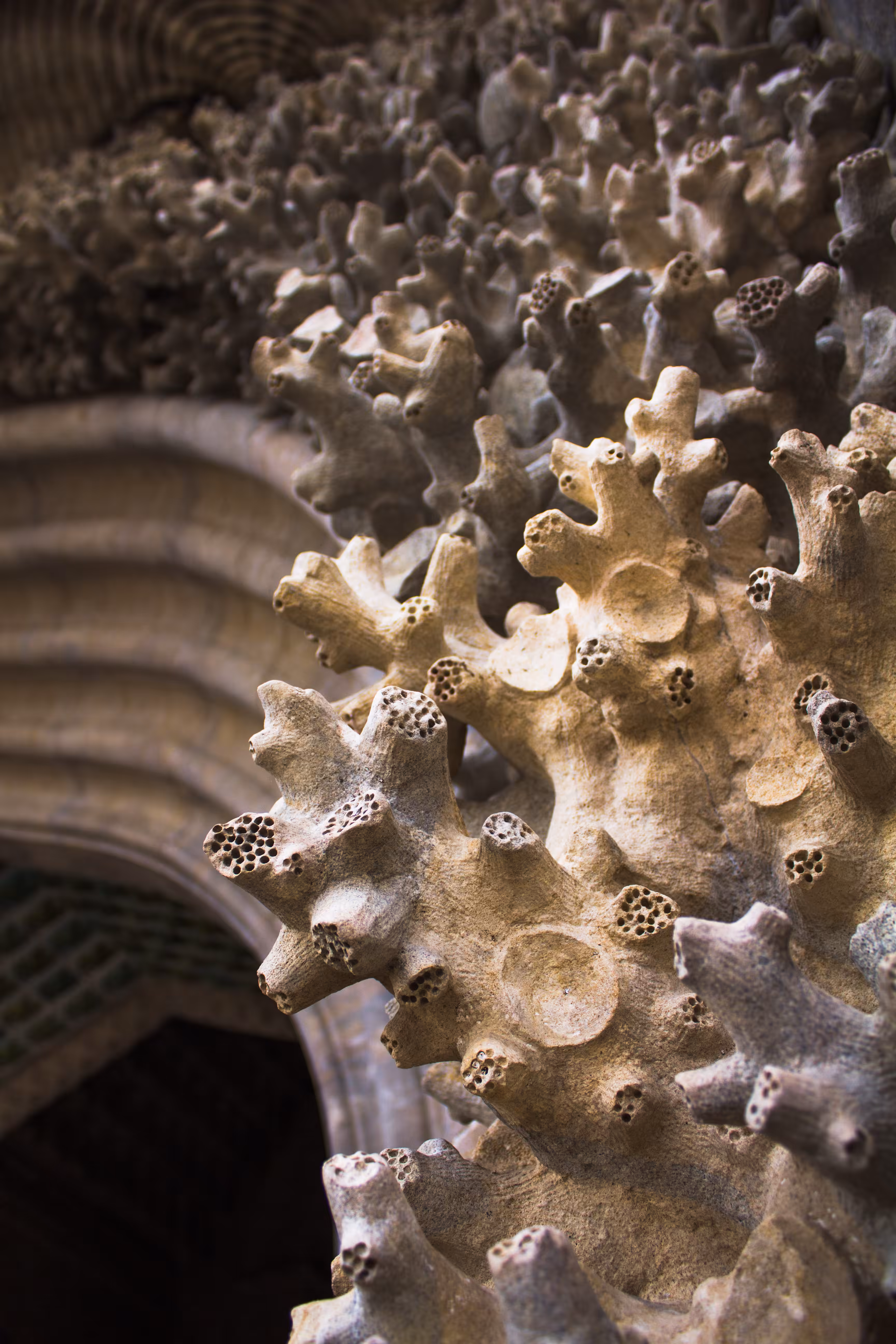 texture of castle pena, sintra
