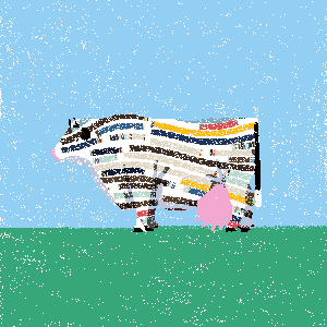 cow #105