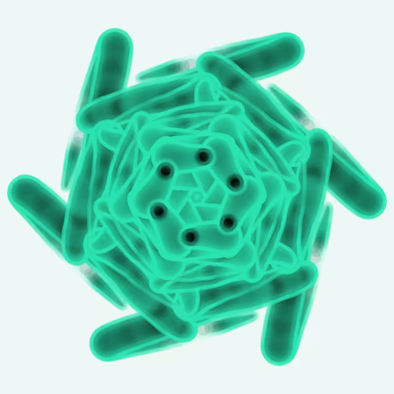 Math Flower #24