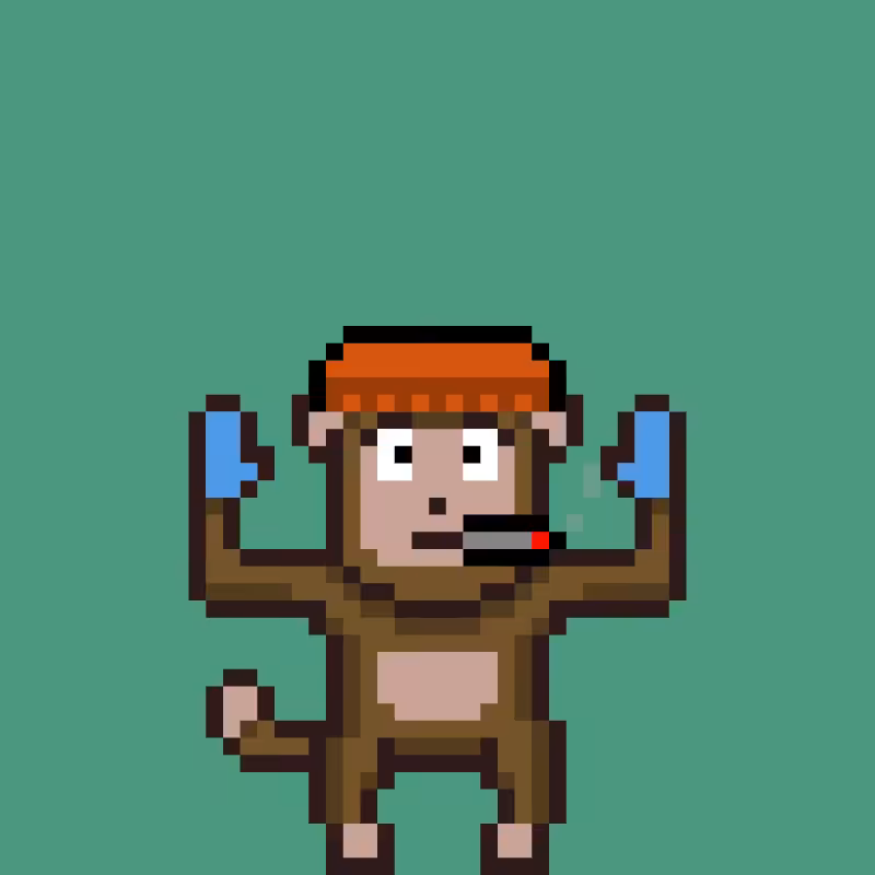 fxMonkeys #37
