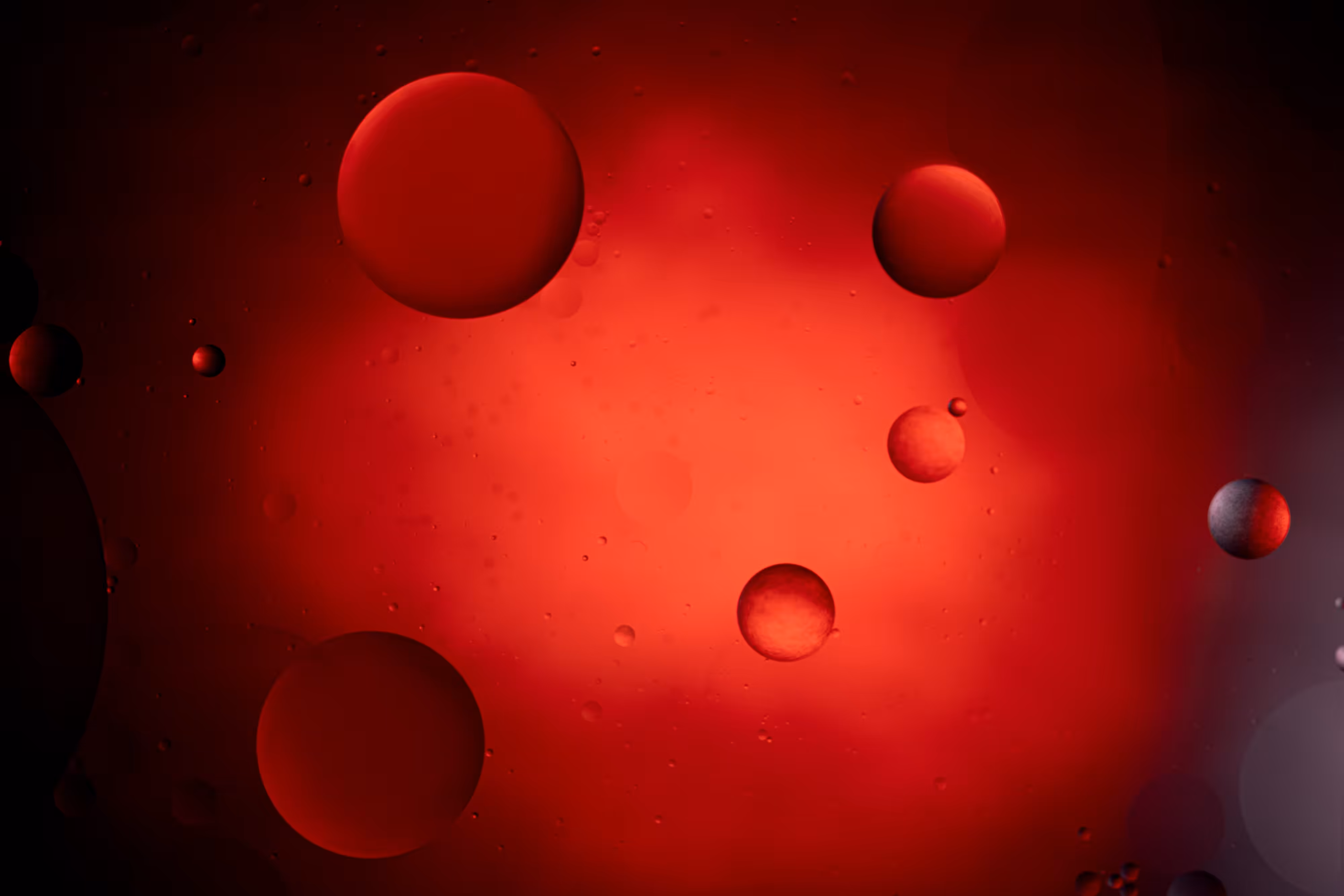Petri Oil 4