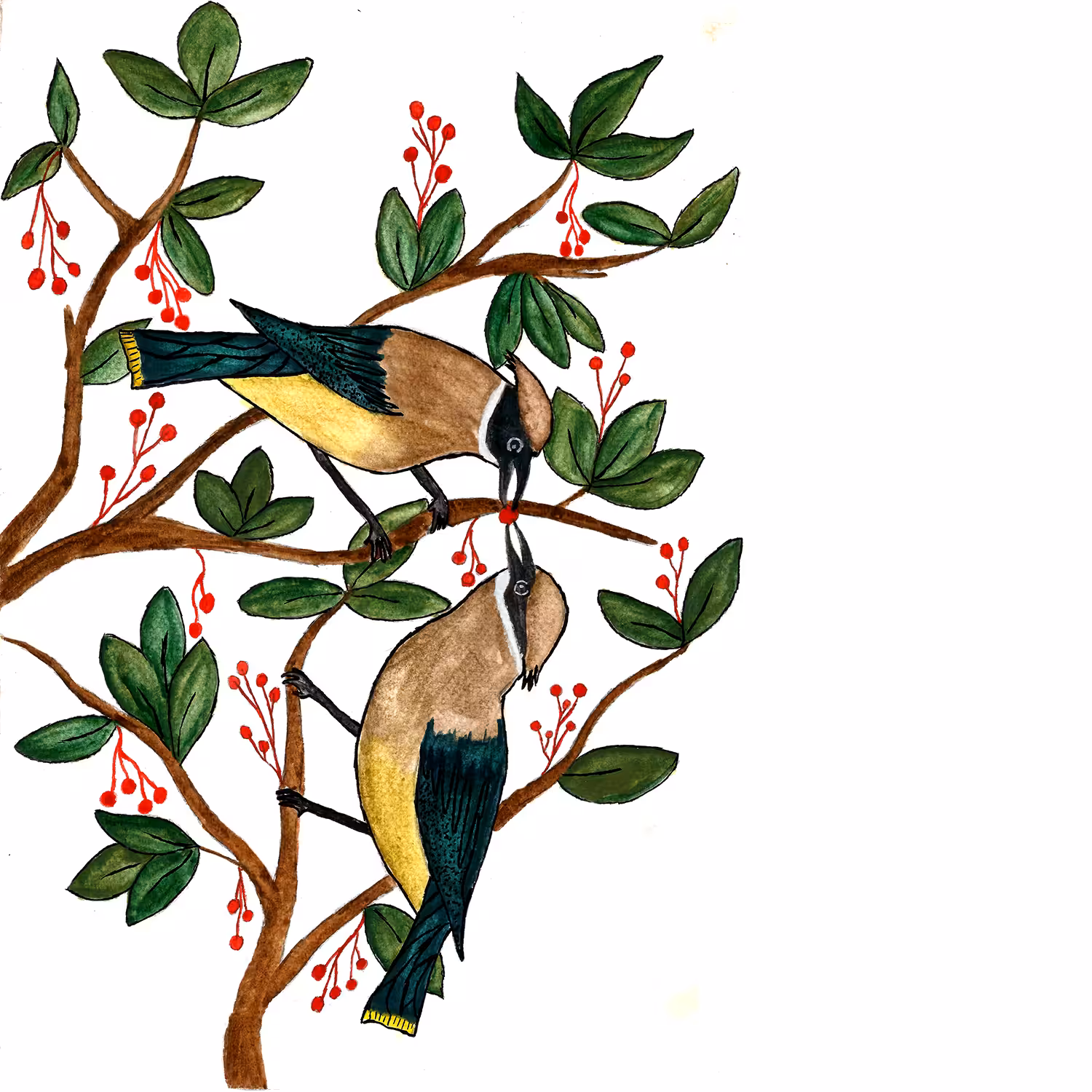 Birds