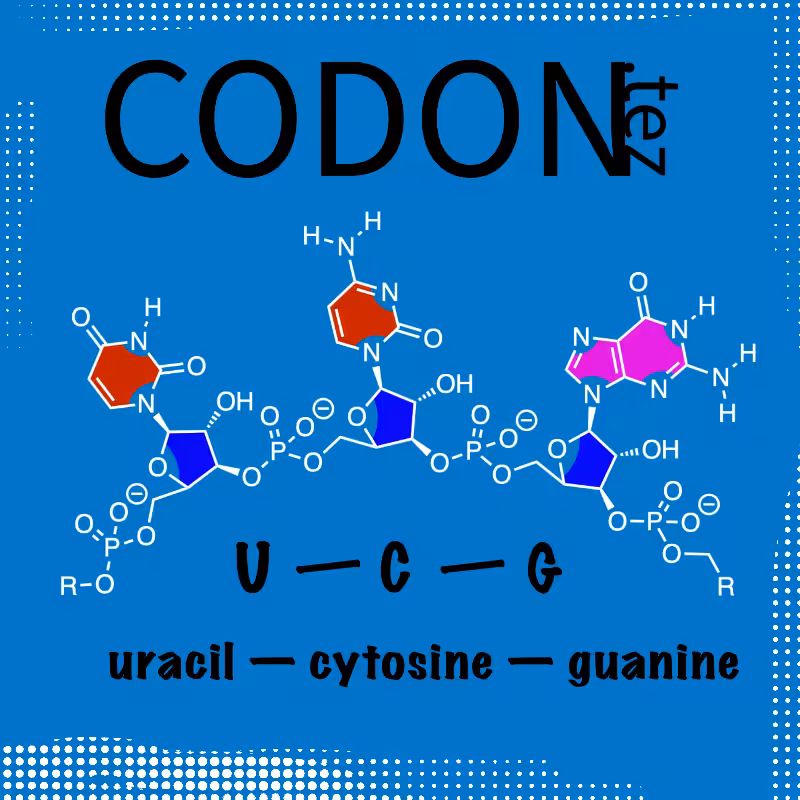 Codon Minter #15