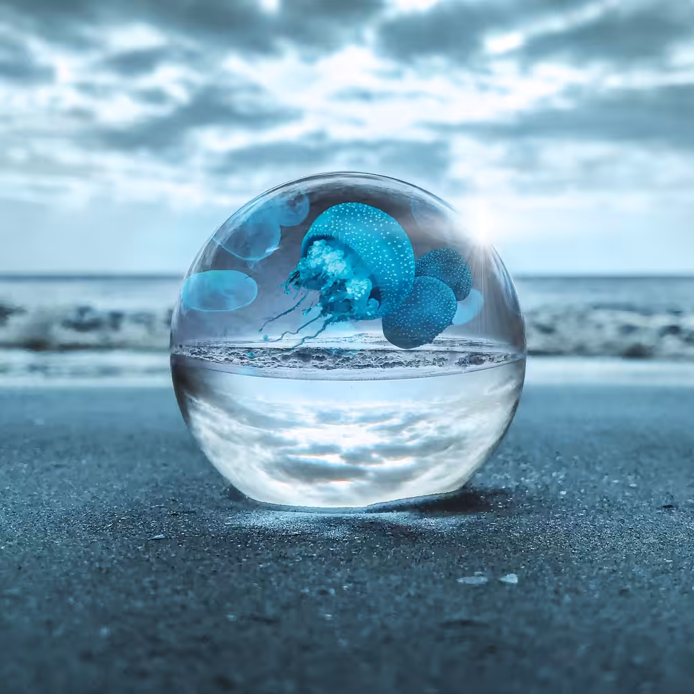 Crystal Jellyfish Beach