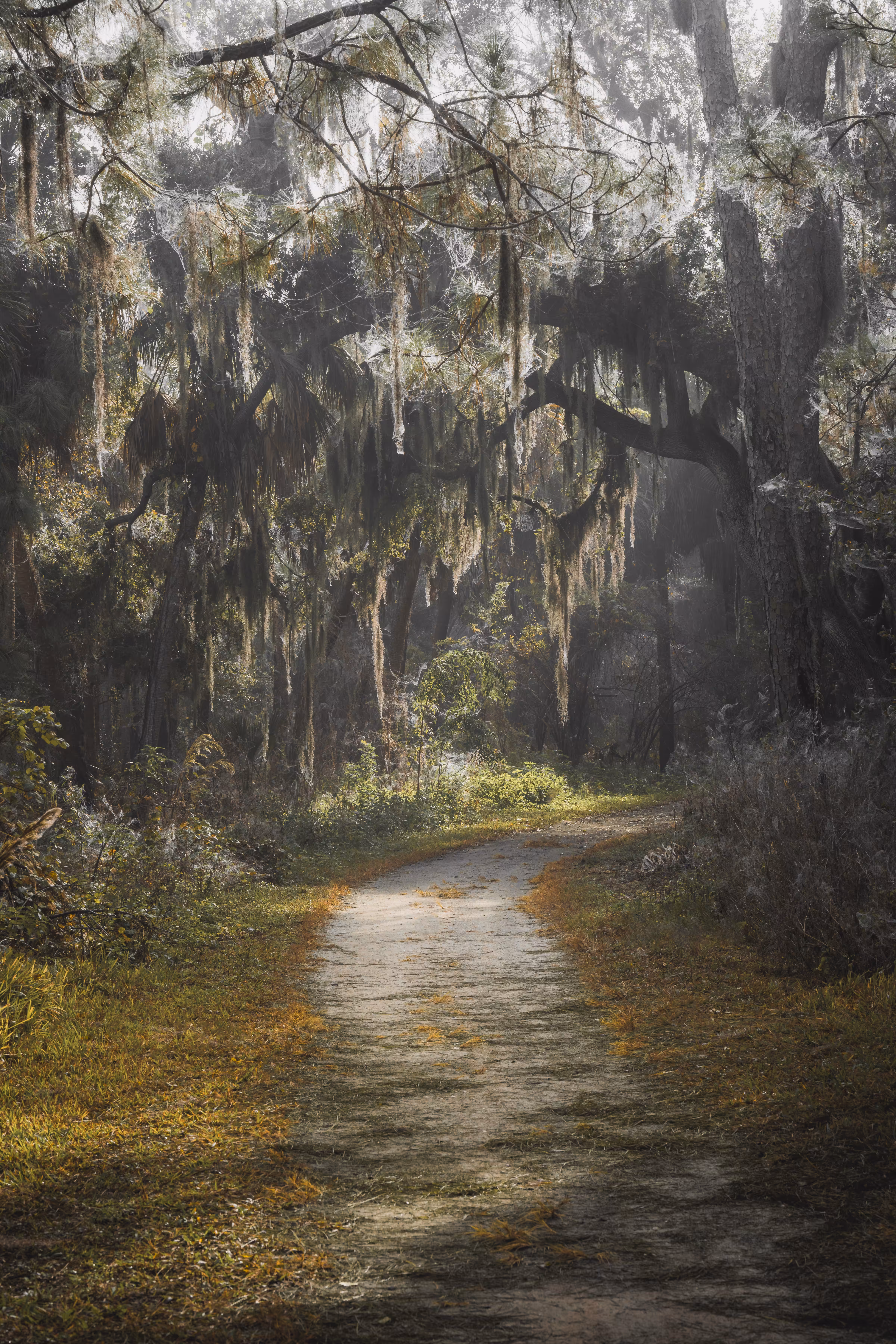 A Path Through The Chaos