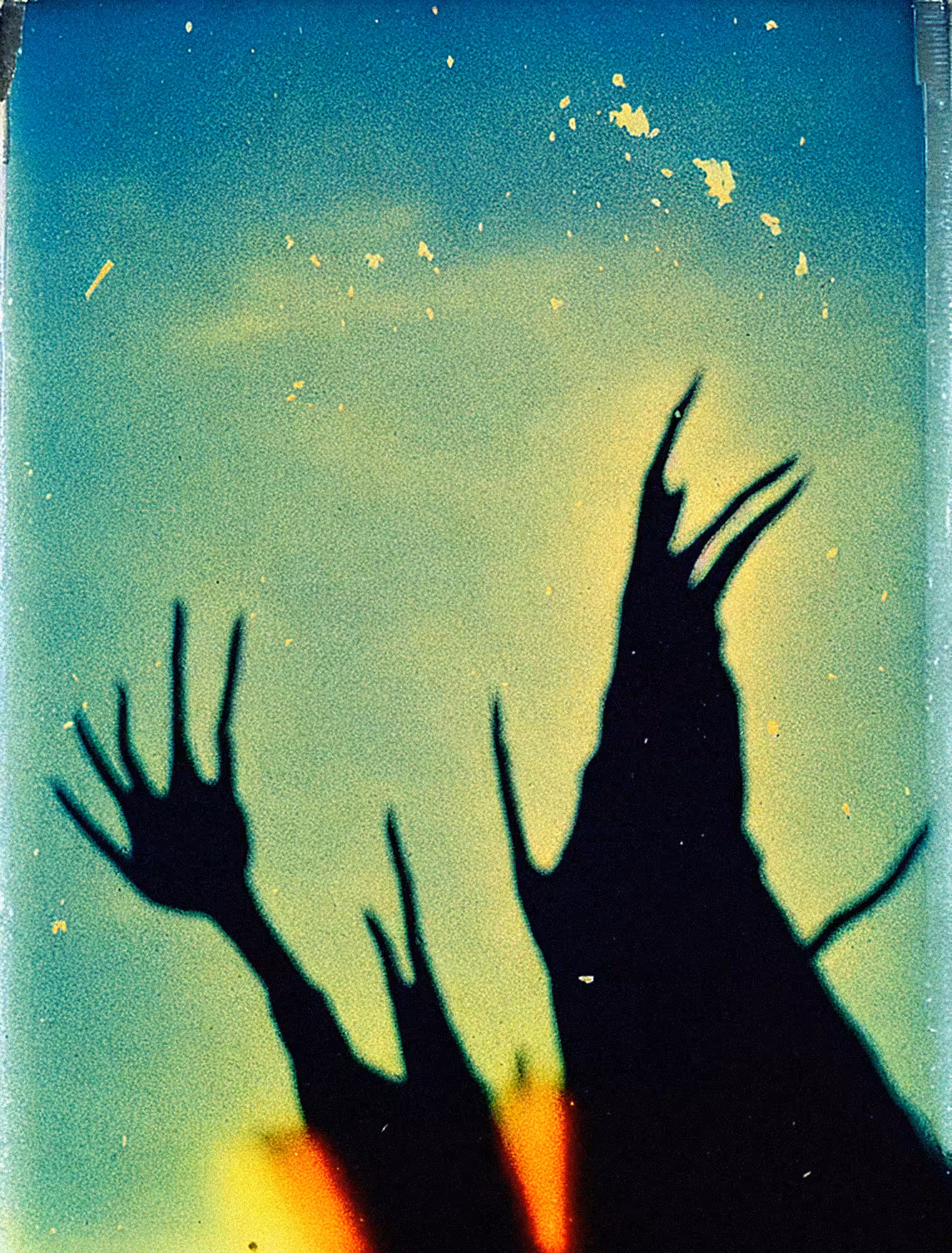 Shadows