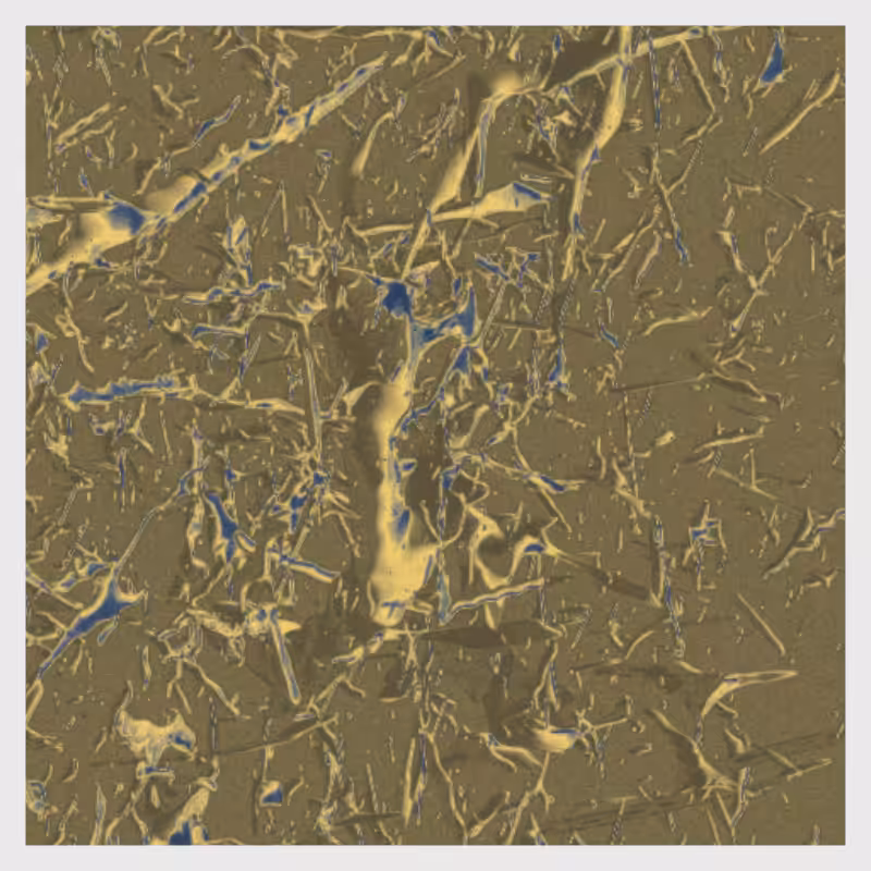 Dynamical System #9