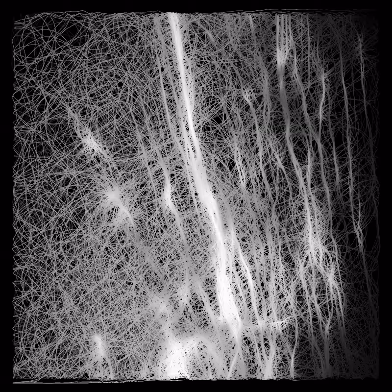 generative cotton XIII
