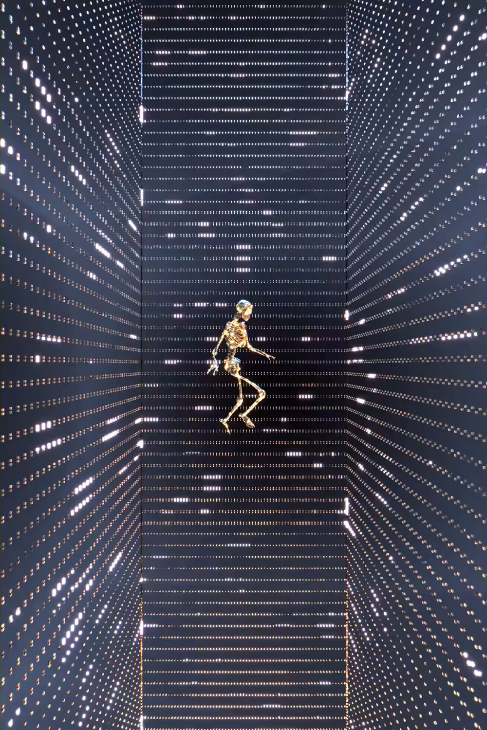 The 5th Dimension