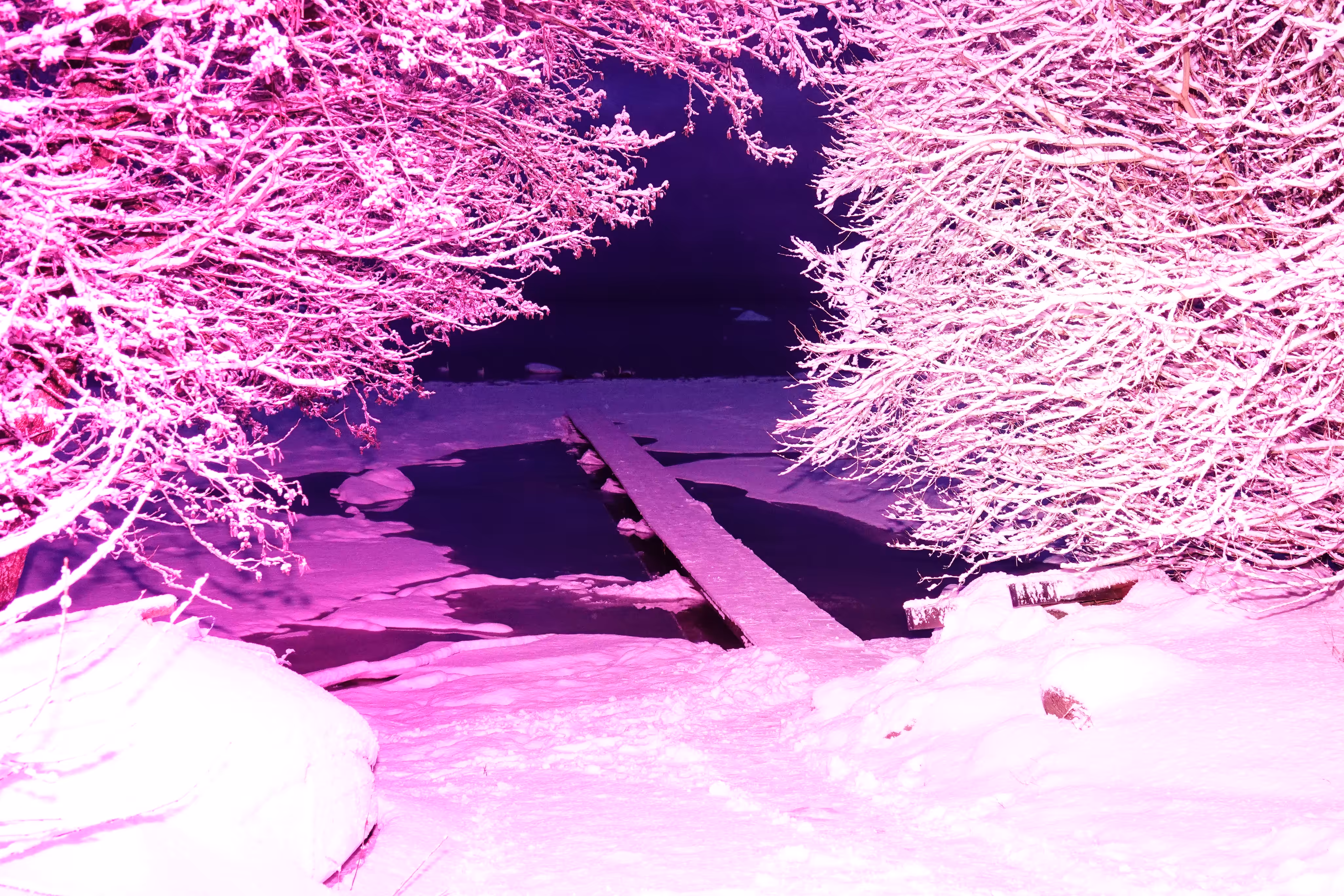 Dreaming in pink 3