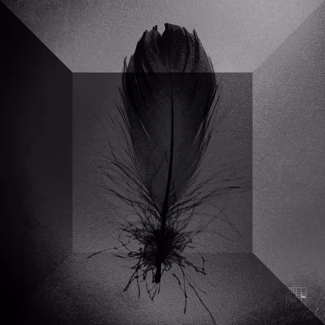 Feather from Fire #1