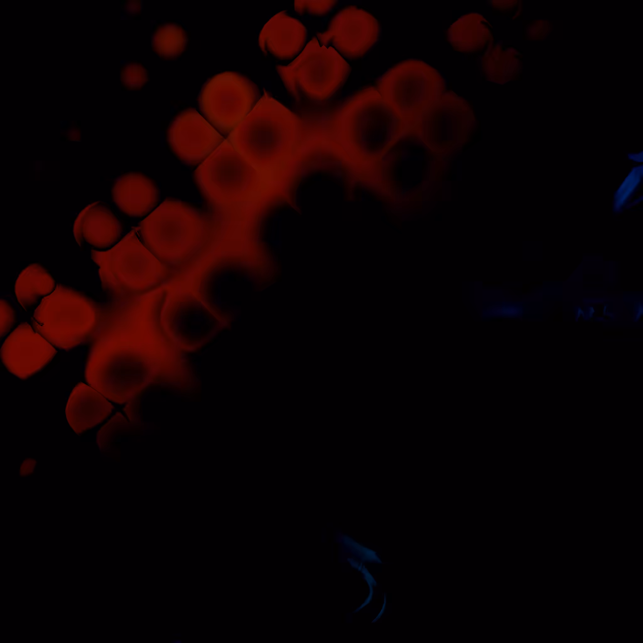 A Metaphysical Transgression #19