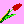 red tulip 01