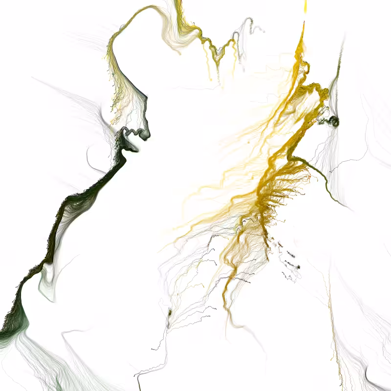 Hypericum #244