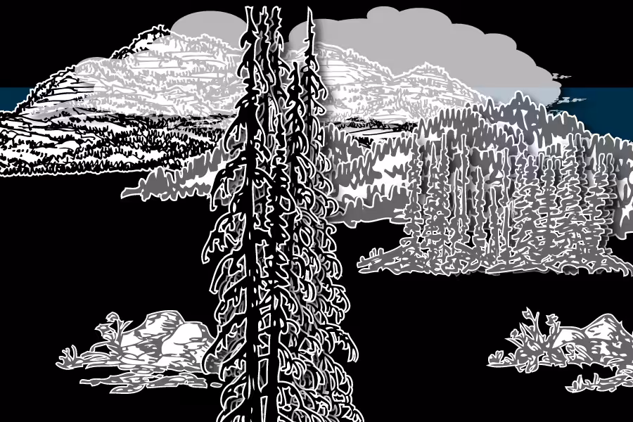 Wild Paper Road #9