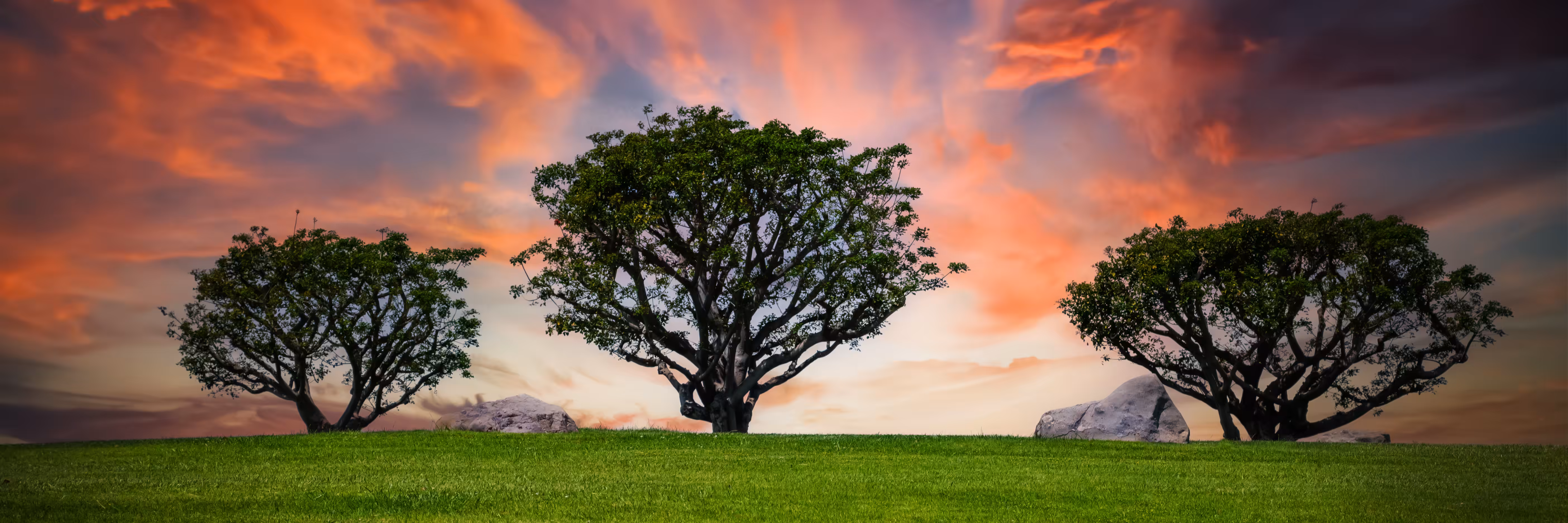 Bridging Photography and AI