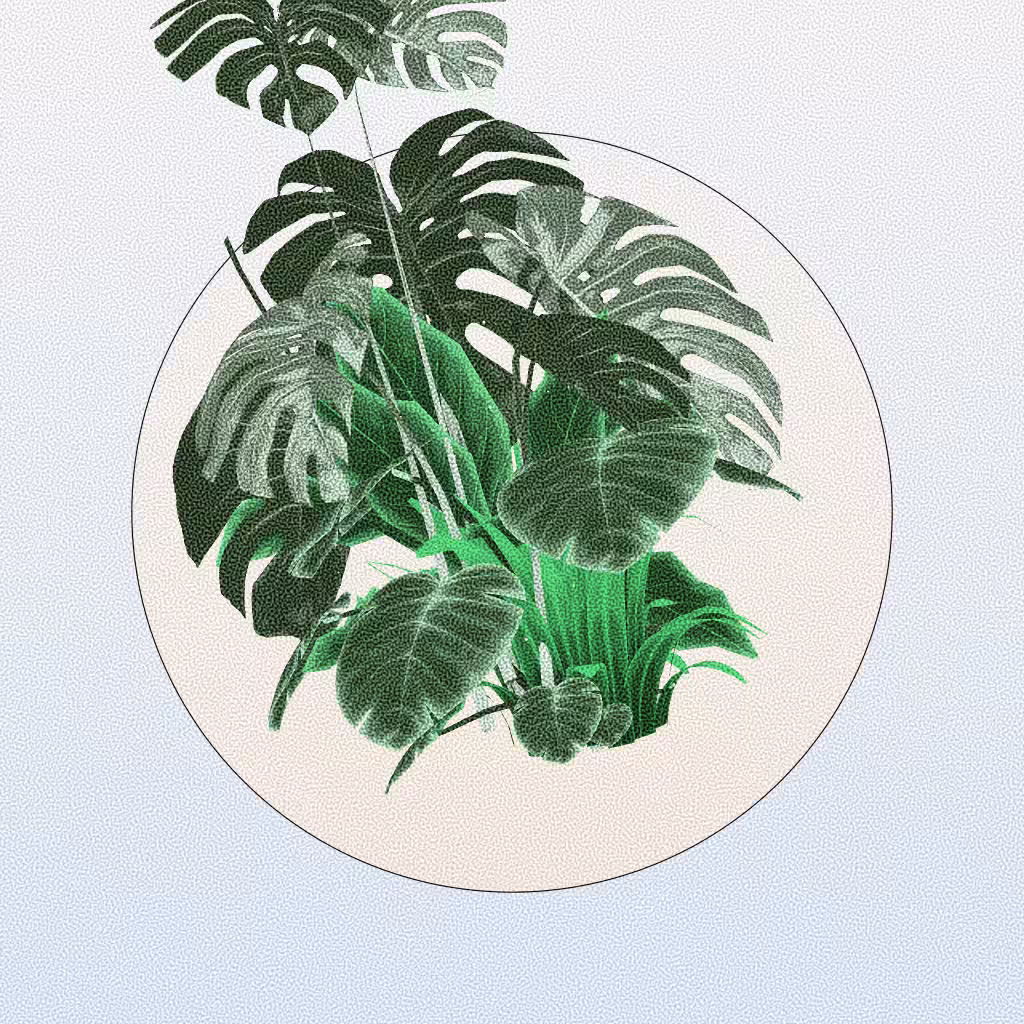 Botany #128