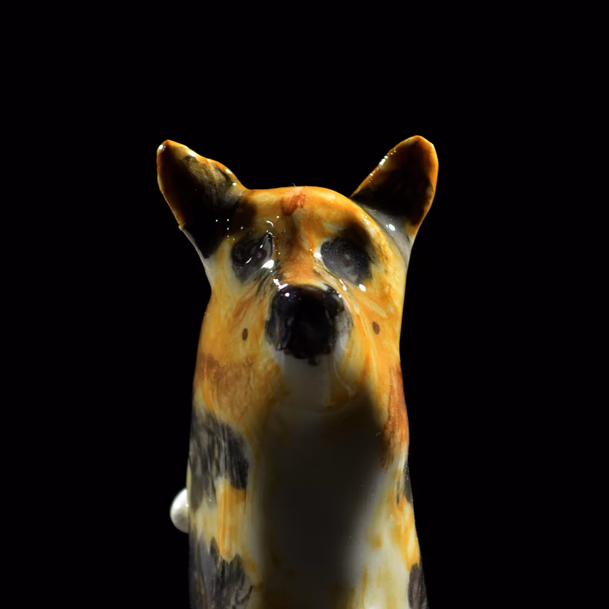 pfpup#0073