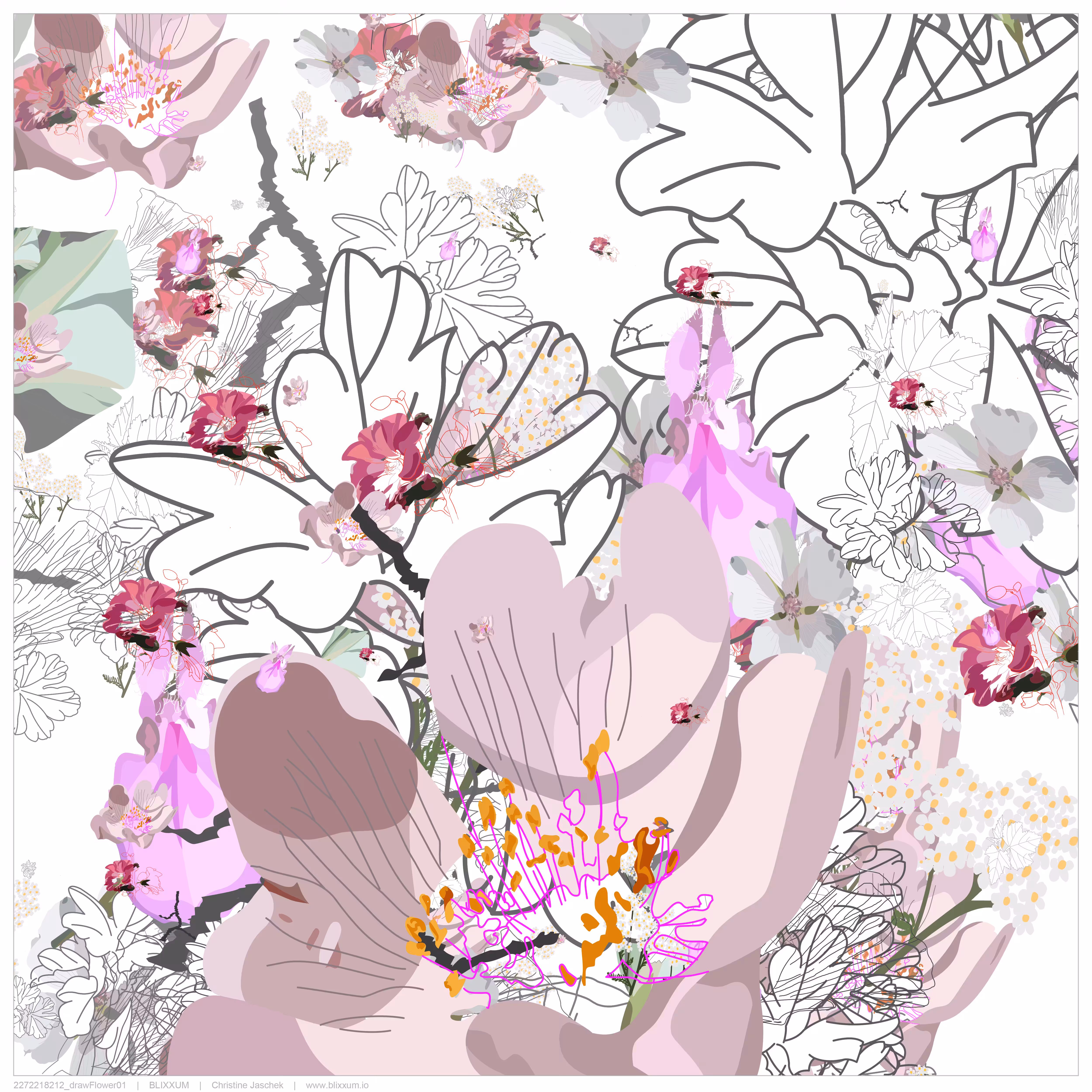 drawFlower01